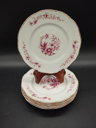 Lot assiettes à - lot,
