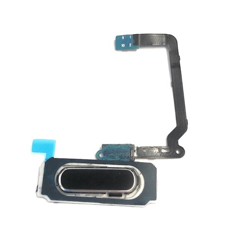 Bouton home pour - bouton,