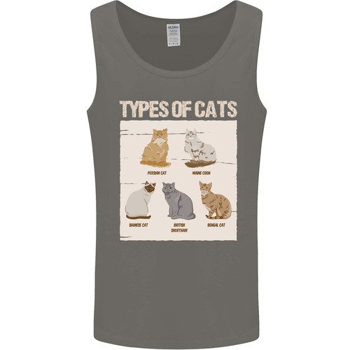 Types chat persan siamois - de,