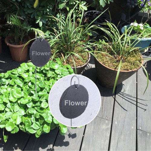 étiquette plante en - de,
