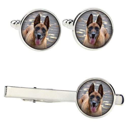 Malinois chien berger belge - de,