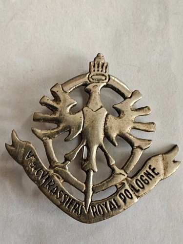 Insigne béret 5eme - insigne, du