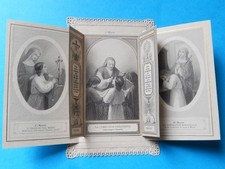 IMAGE PIEUSE CANIVET A VOLETS