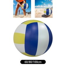 Ballon de volley-ball
