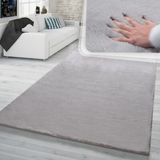 Tapis Shaggy Salon Gris Poils