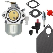 699831 Carburateur pour Briggs