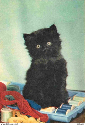 Carte postale animaux - -,