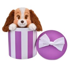 Coffret peluche Tokyo Disney