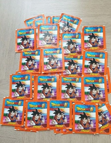 Pochettes panini dragon - pochettes,