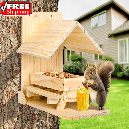 Squirrel feeders for outside - for,
