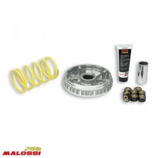 Variateur Malossi pour Scooter Yamaha 250 X-Max Après 2006 Neuf