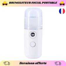 Brumisateur Visage Électrique
