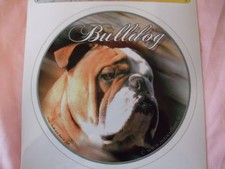 1 autocollant - motif chien