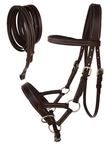 Horse western - horse,