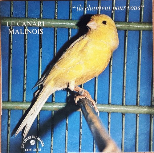 Ils chantent pour vous - , un