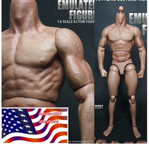 Toys 6th muscular - 1/6th,