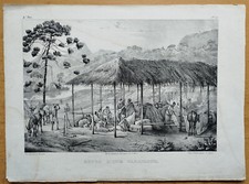 Repos d´une Caravanne - Brazil Rugendas Voyage Pittoresque Bresil - 1835