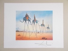 Lithographie, Salvador Dali  "