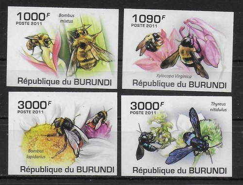 Burundi non dentele - ,