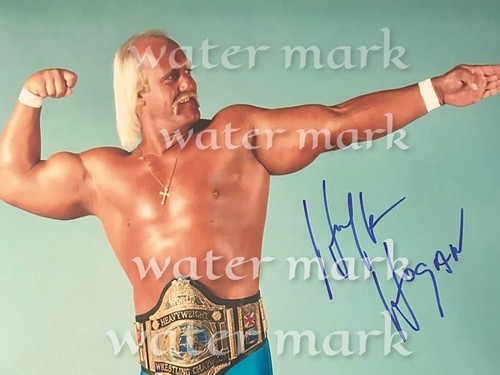 Hulk hogan lutteur américain - lutteur,