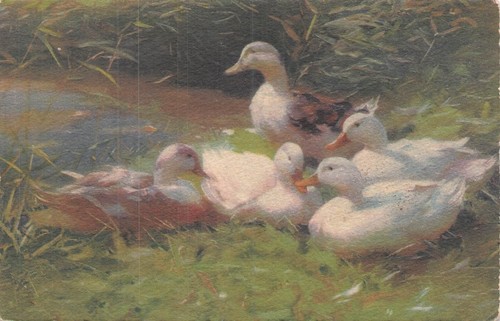 Illustree famille canards - famille,