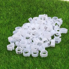  100 PCS Accessoires Oiseaux