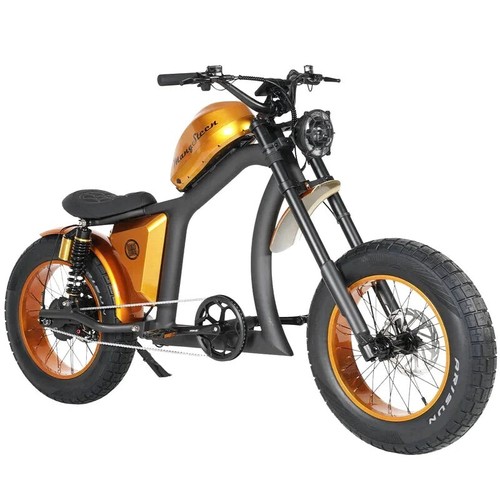 Fat bike électrique - bike,