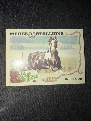 2019 topps allen ginter - 2019,