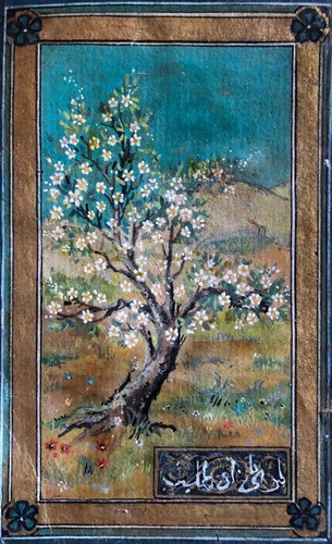 Poirier fleurs - poirier, en