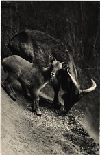 CPA Paris Bois de Vincennes