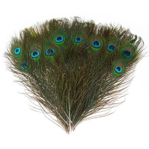 Pièces plumes paon - plumes,