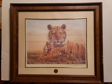 Rob Mcintosh Bengal Tiger Framed Matted Print Signed COA Smithsonian Institution