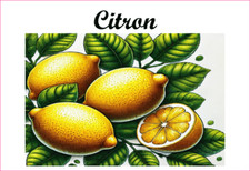 Citron 12 Etiquettes vinyle conserve fruit légume confiture fait maison