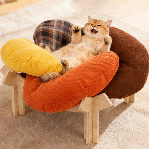 Lit surélevé pour - , chat