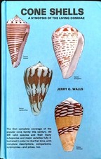 Cone shells