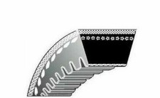 Courroie Crantée Tondeuse