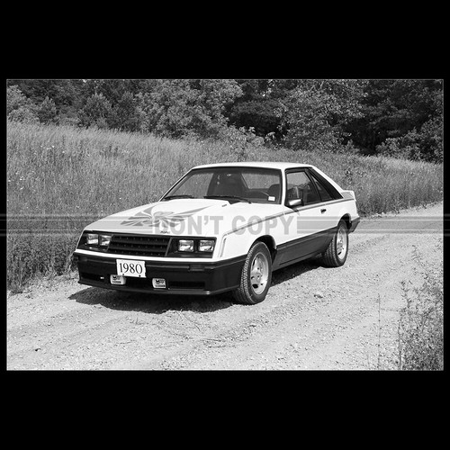 Photo 035406 ford - a.035406, mustang