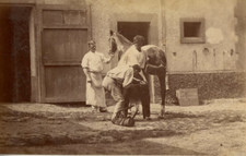 Chez le maréchal ferrant