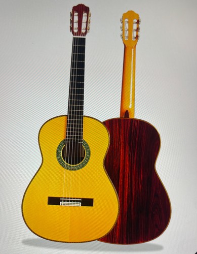 Flamenco guitar - flamenco,