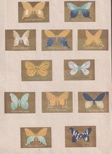 Japan BN186142 Butterfly Match Tag Series