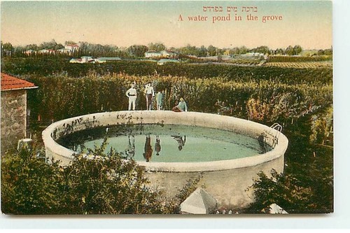 Israel water pond in - pond, the