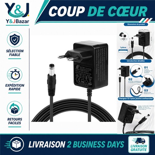 Chargeur a voiture - 12,