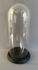 ANTIQUE 19th Century VICTORIAN ERA Cloche 13" GLASS DOME with WOOD BASE