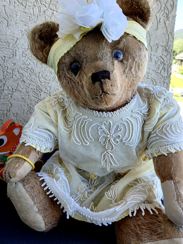 Ours ancien francais fadap - ours,