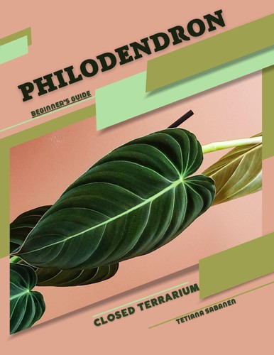 Tetiana sabanen philodendron - tetiana,