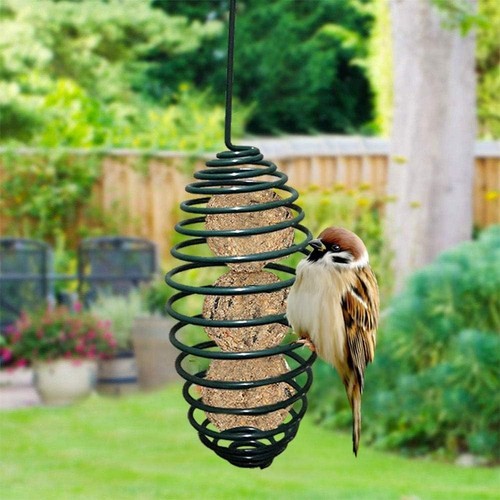 Set oiseau gras - 4,