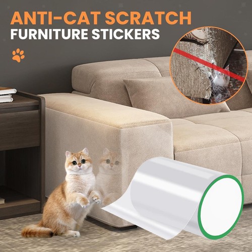 Bande anti rayures - bande, chats