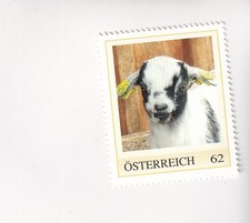 AUTRICHE timbre PM ZOO HERBERSTEIN - CHÈVRE NAINE chèvre MNH