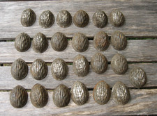 Lot 25 Anciens Moules NOIX  à Chocolat Biscuit Mignardise.. en métal