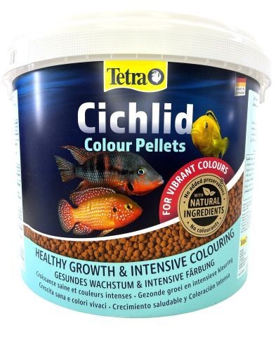 Tetra cichlid color - tetra,